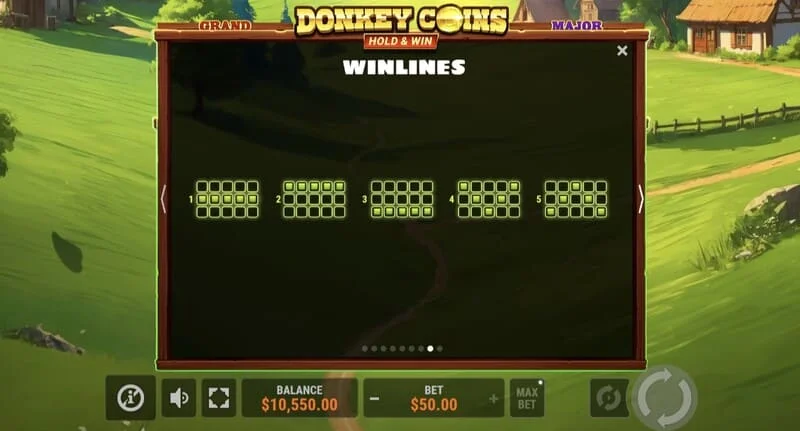 Donkey Coins Hold & Win - gros gain en mode spécial